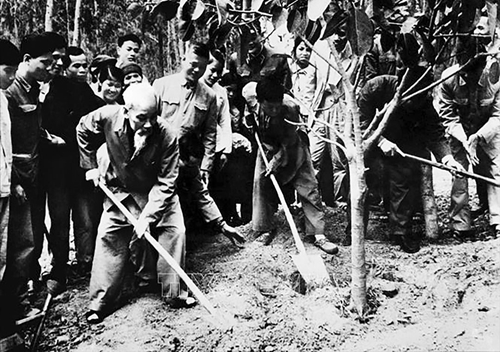 Kỷ niệm 134 năm Ngày sinh Chủ tịch Hồ Chí Minh: Ý tưởng cây đại đồng của người Việt ở Sochi